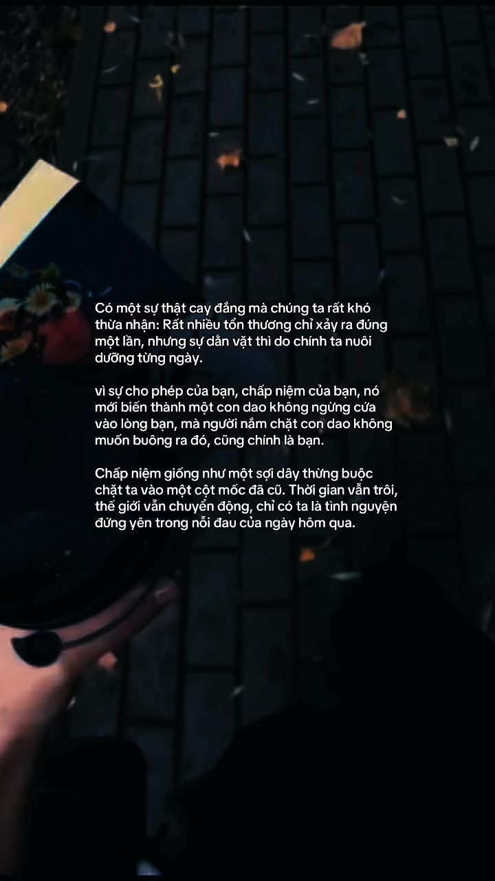 @Mèo Trắng 😾