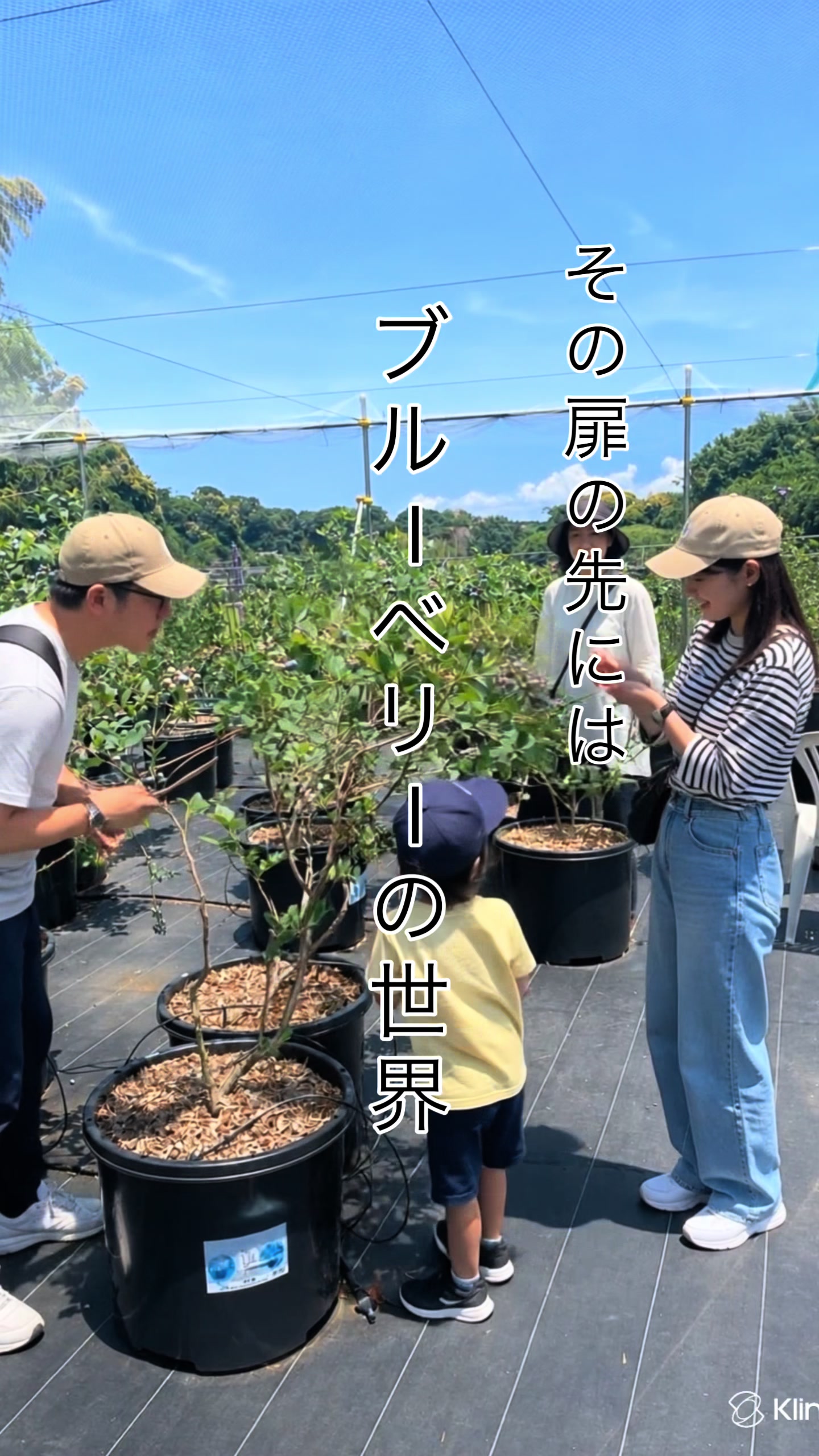@ザ・作兵衛フルーツガーデン みかん狩り ブルーベリー狩り