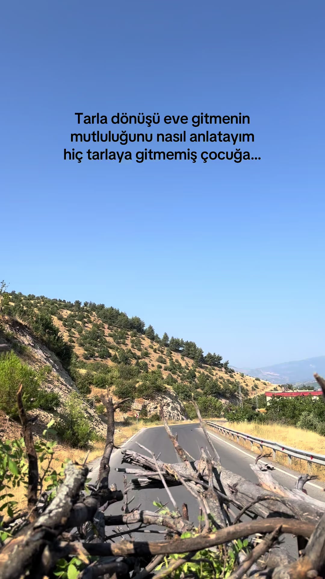 @Şerife 🍀
