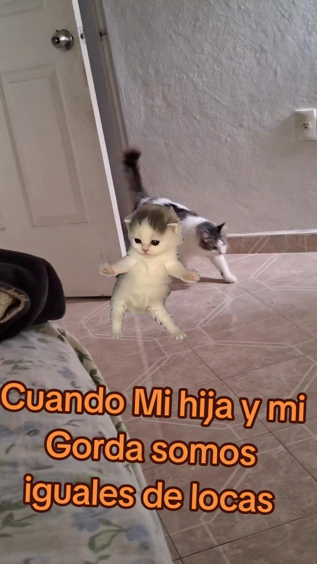 @Nel
