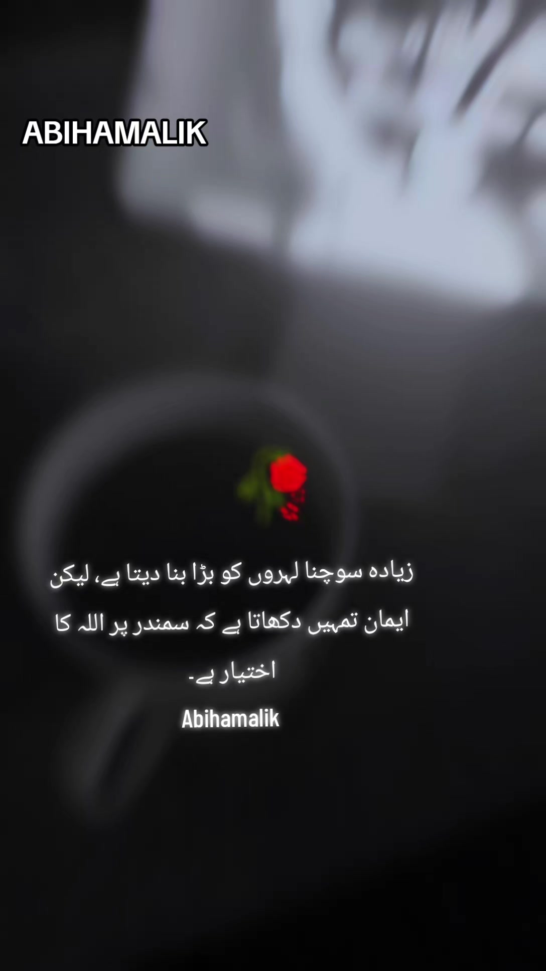 @🌹𝐀𝐛𝐢𝐡𝐚.𝐌𝐚𝐥𝐢𝐤🌹