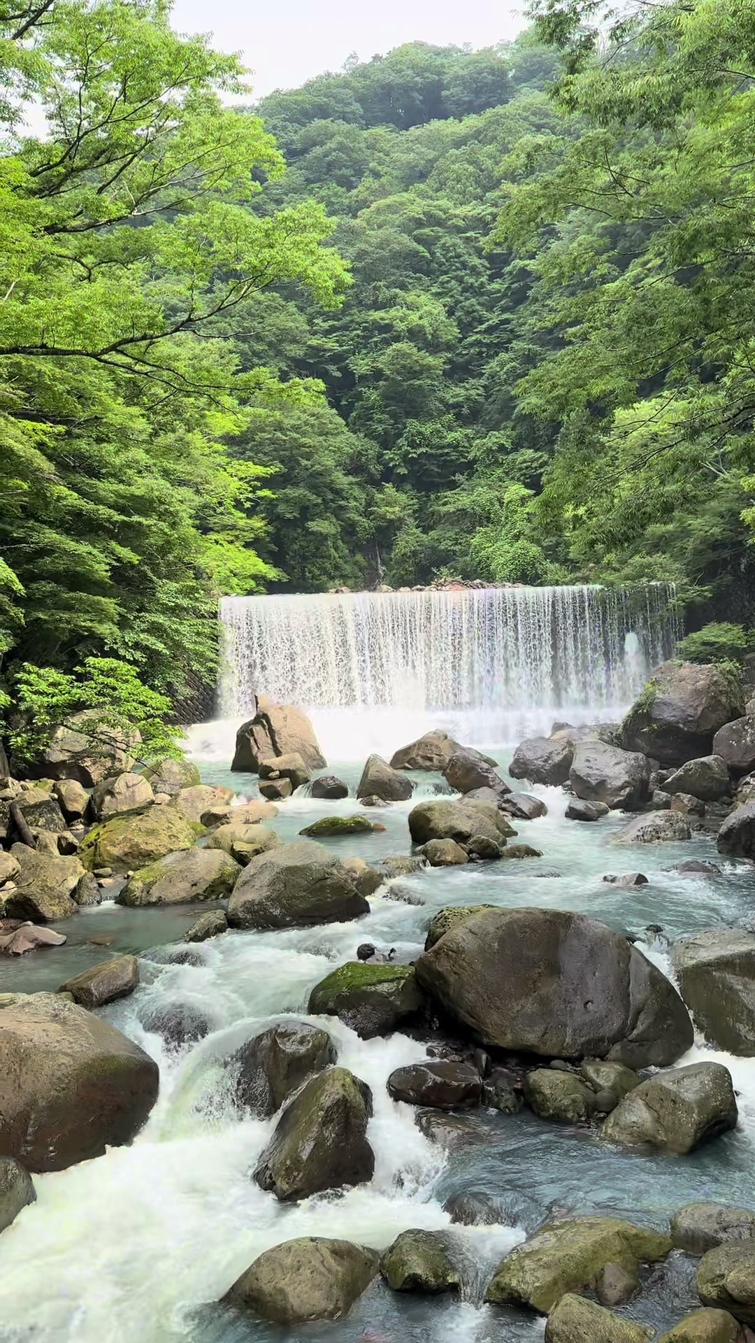 @japan.guidepal