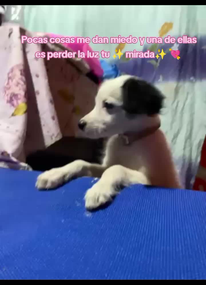 @Mimi🌟