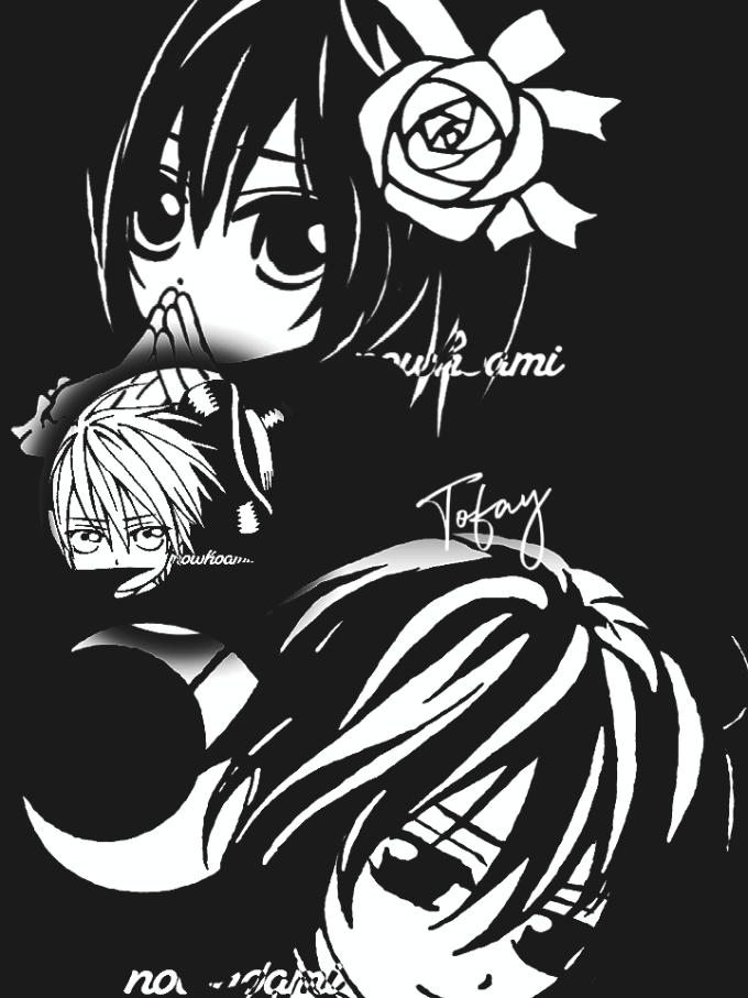 @vampire knight 🌹