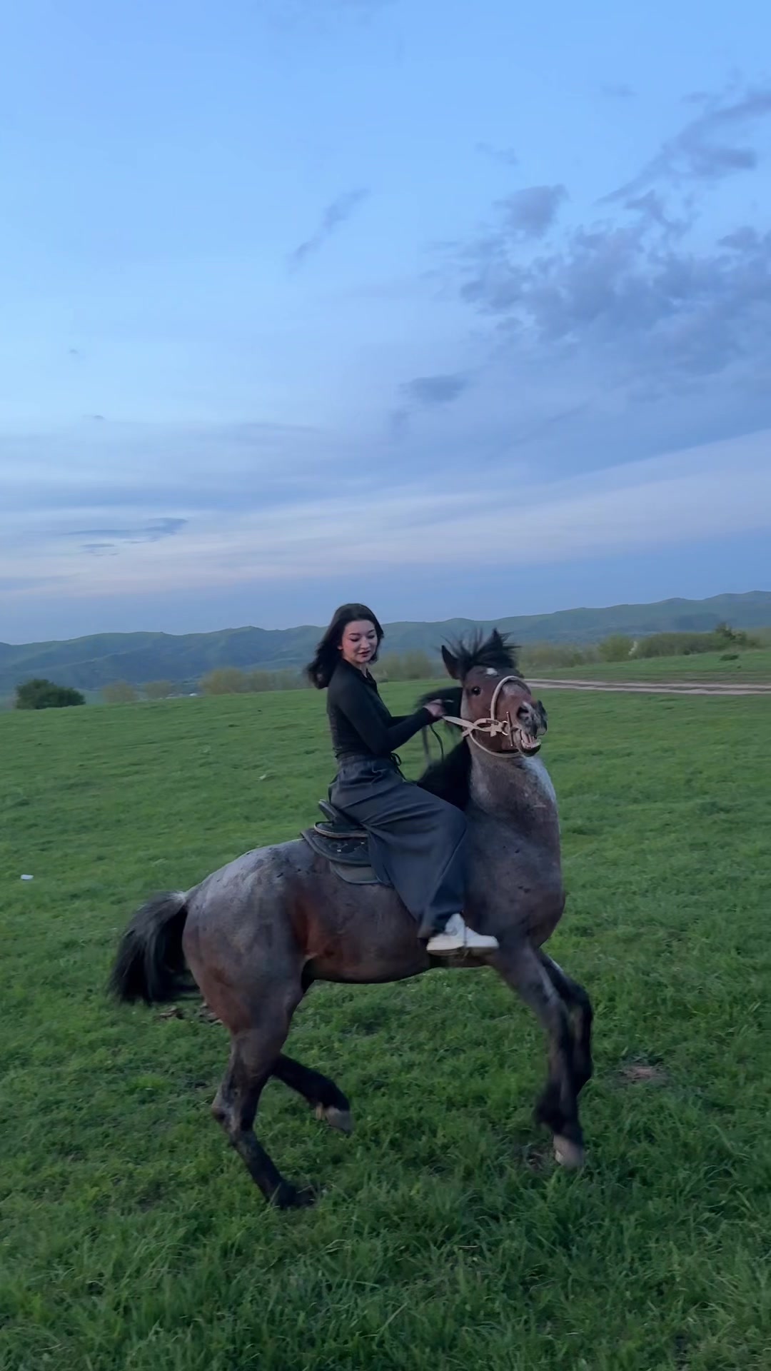 @akshatau_horses