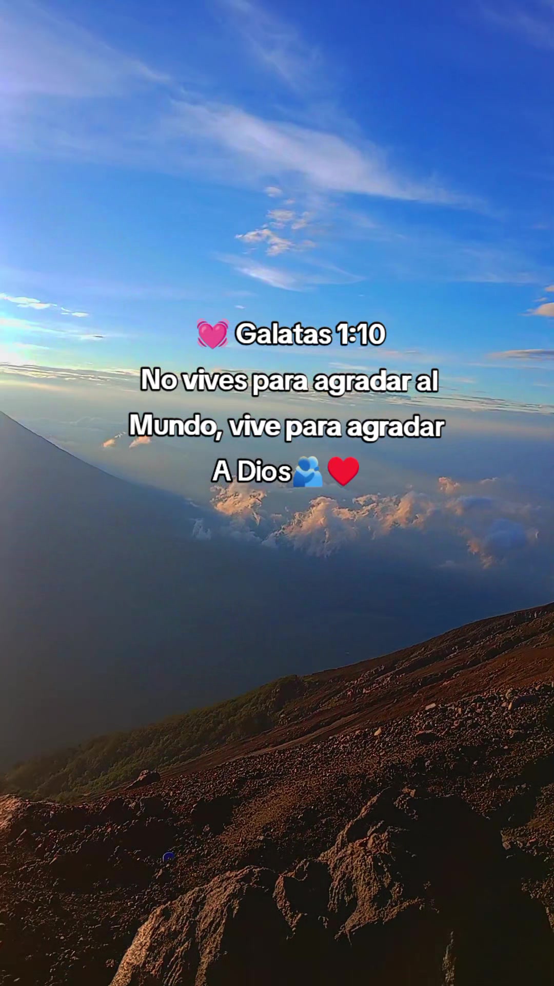 @alisvelasquez18