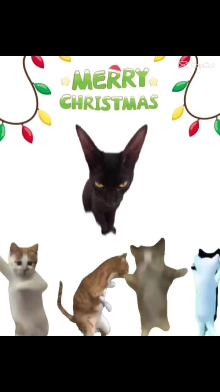@S𝓮𝓸 Y𝓾𝓷