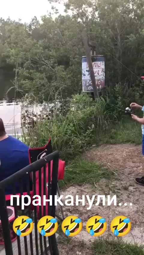 @Дэнчик Кэт