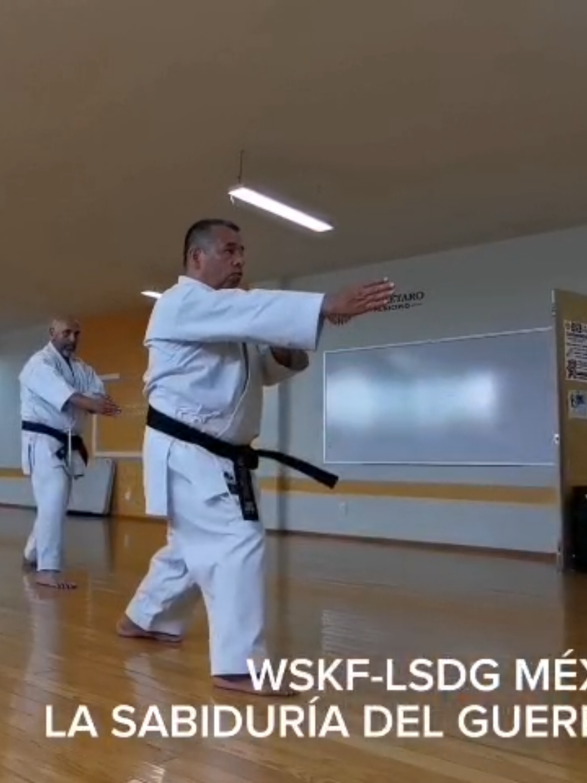 @Karate LSDG