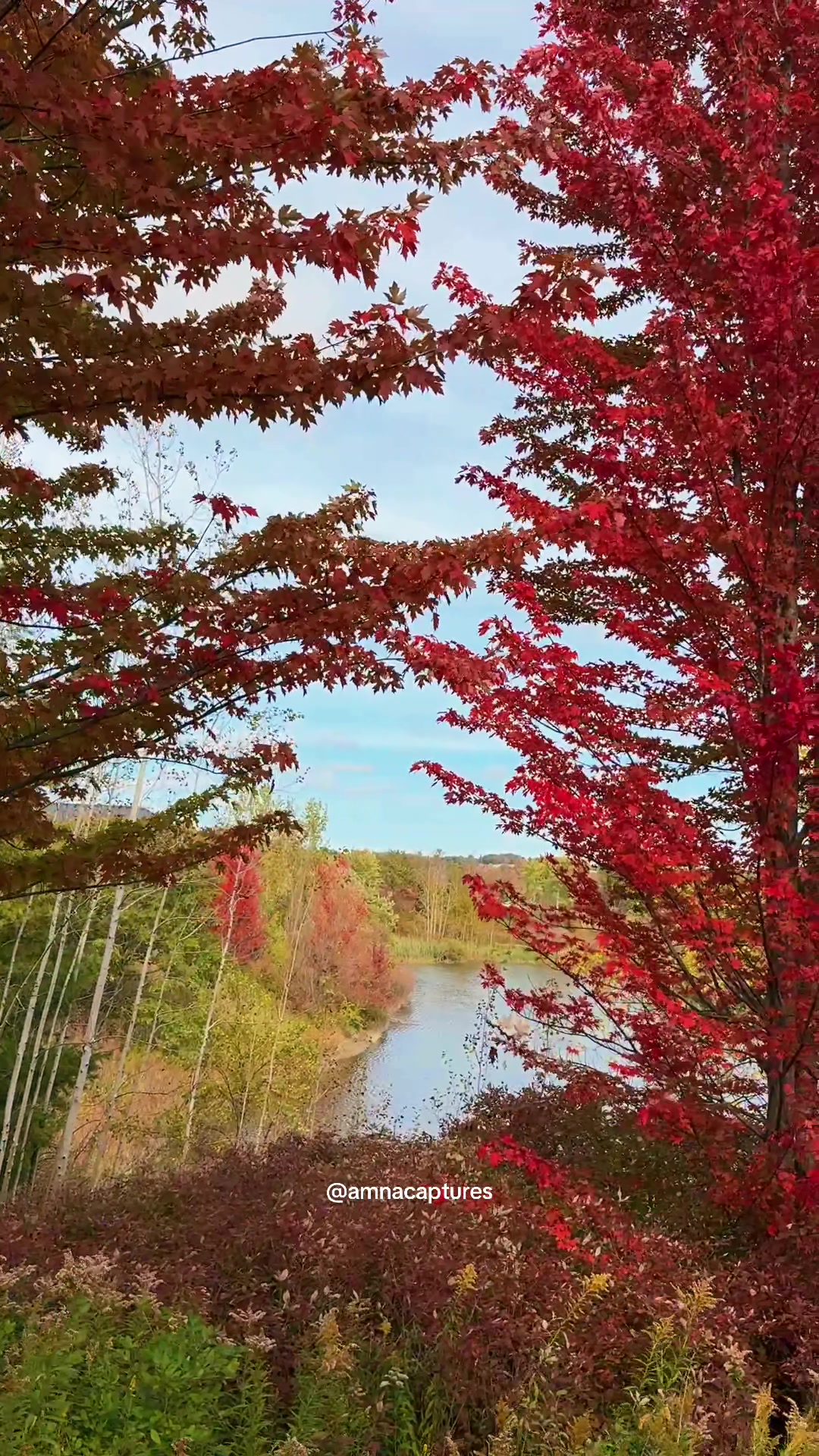 @Nature lover 🇨🇦
