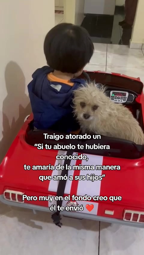 @Susanita