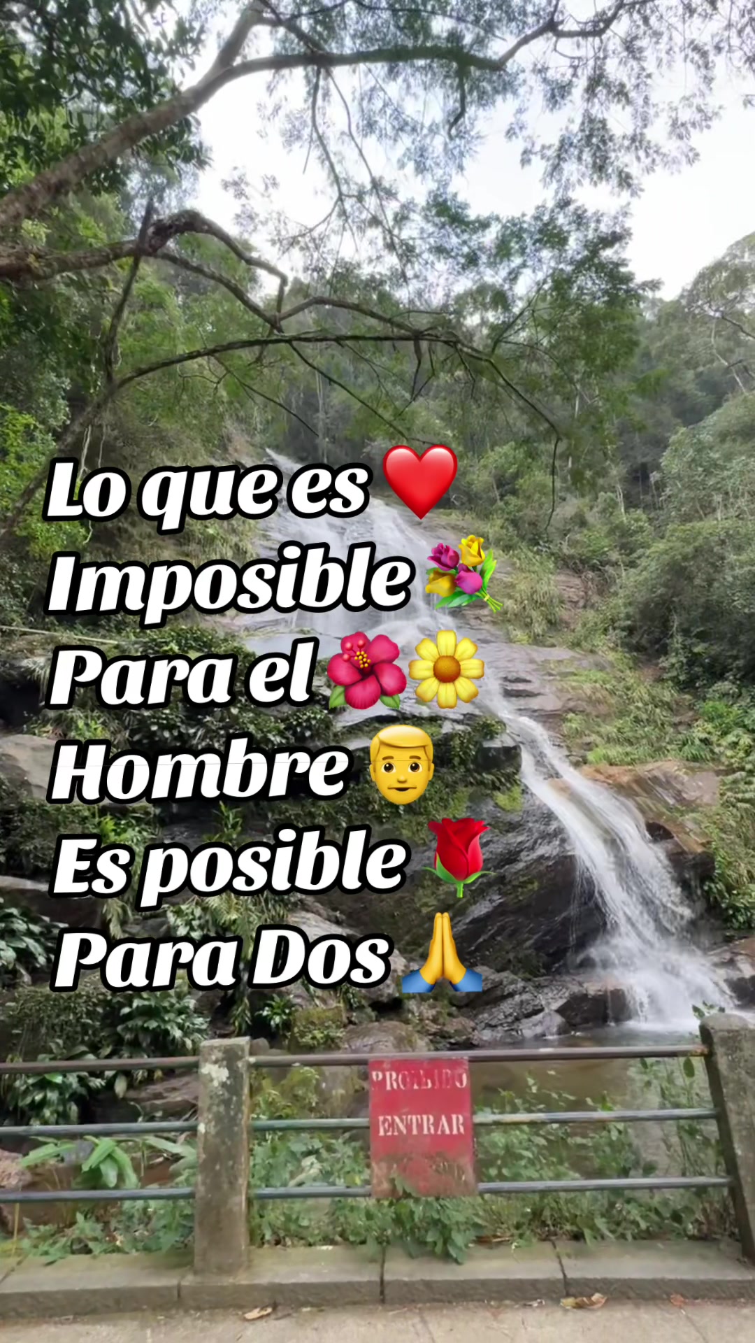 @❤️sanando el alma❤️