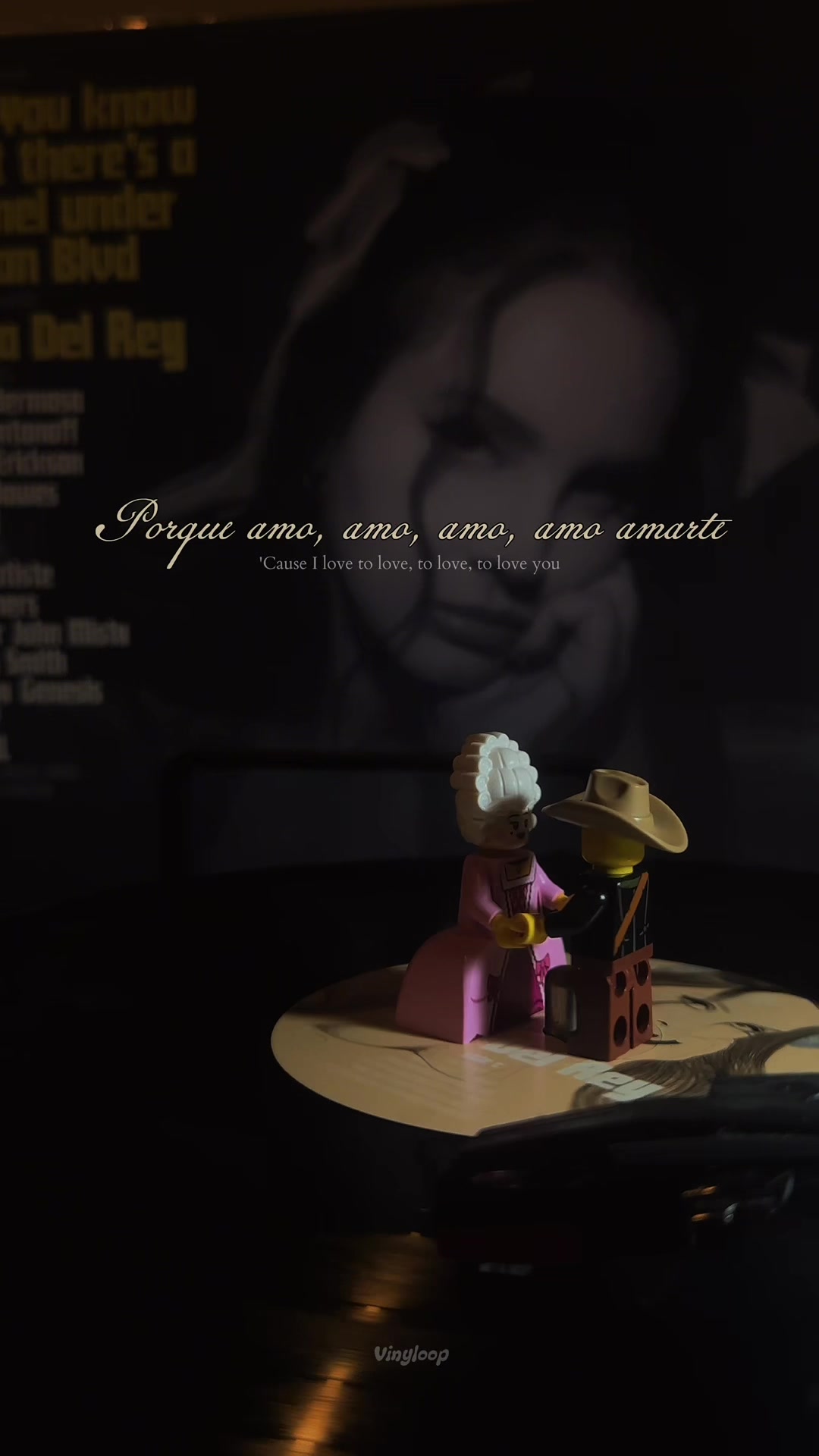 @VinyLoop