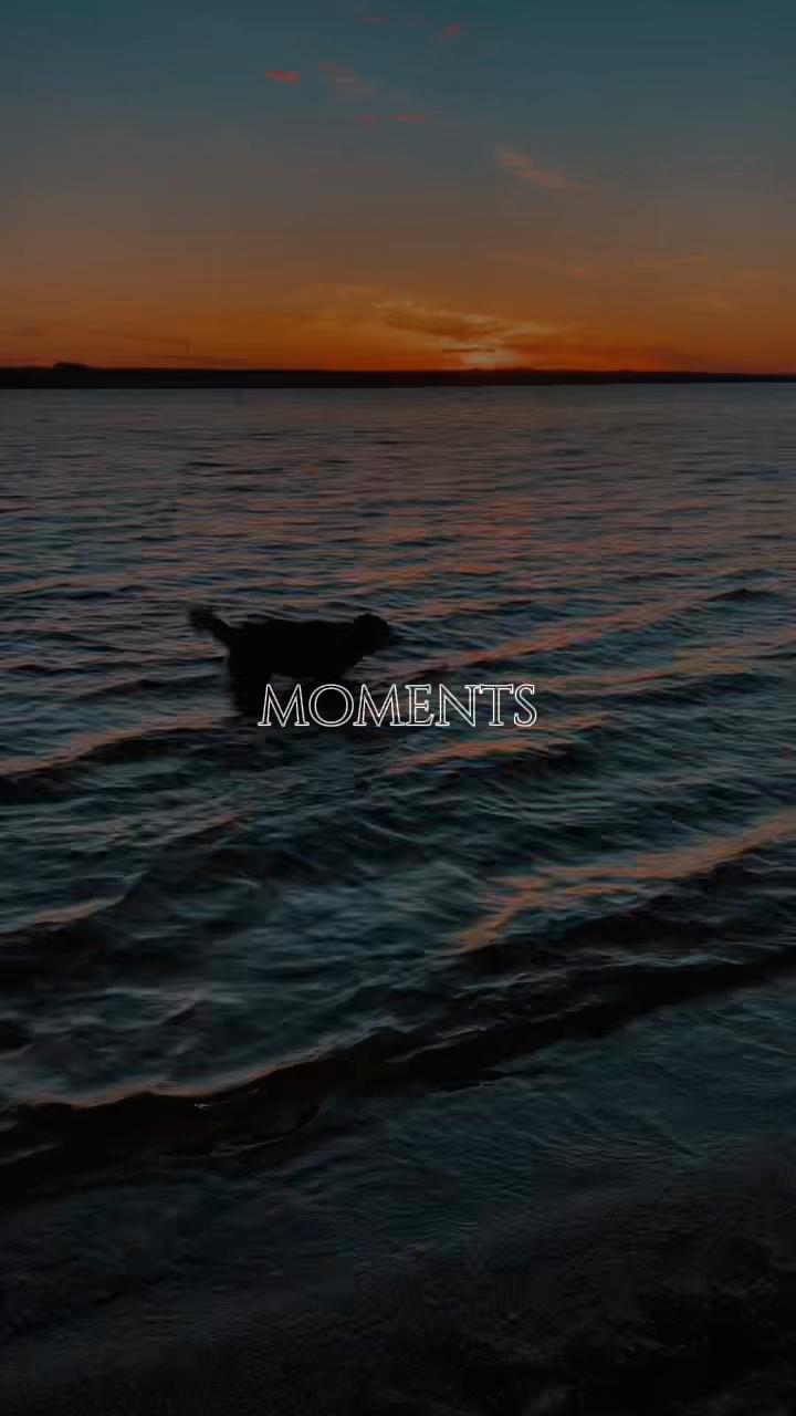 @𝔻𝕒𝕣𝕜_𝕙𝕦𝕤𝕜𝕪