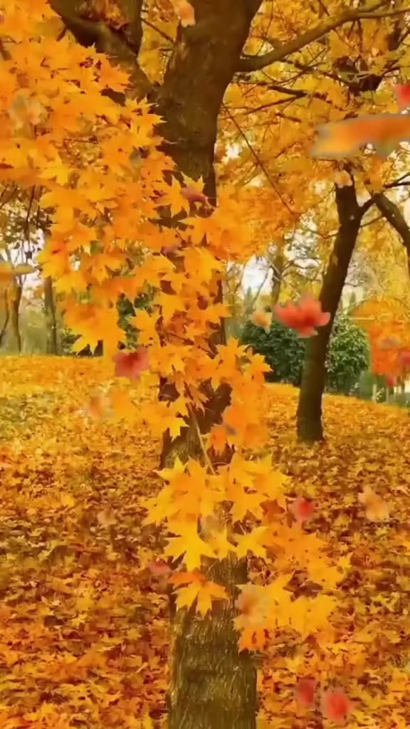 @любимые мелодии друзья