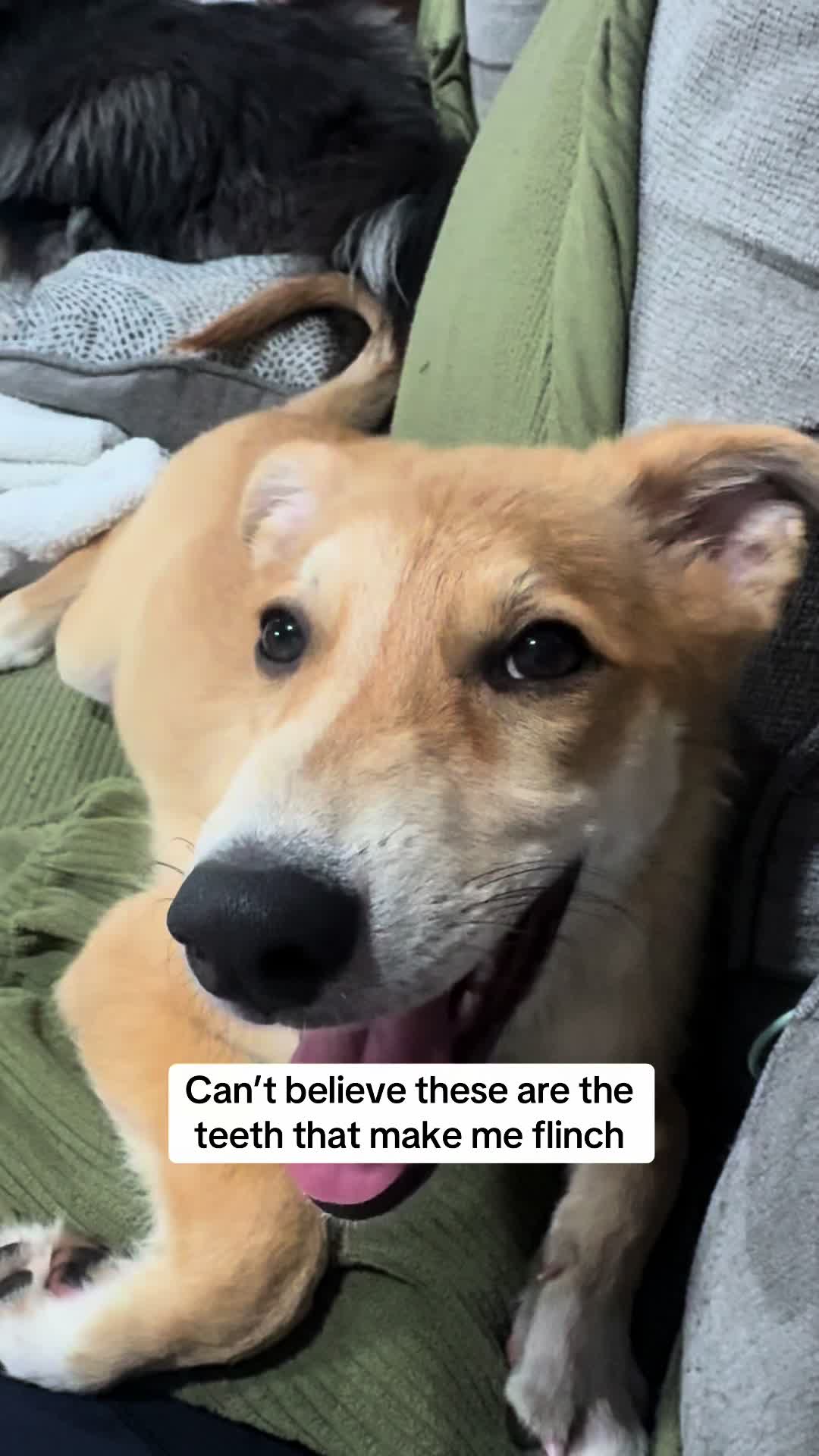 @Cari