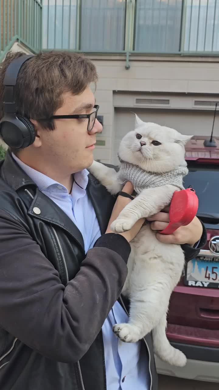 @LorettaBritish Cat