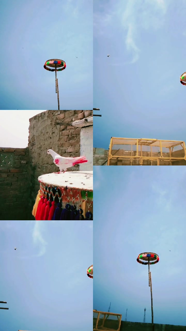 @Juman Saand02