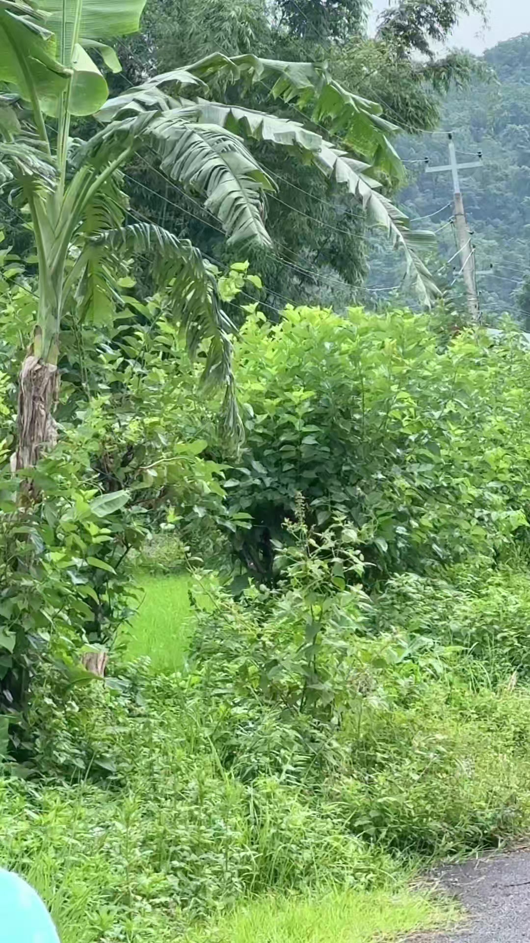 @Babita15