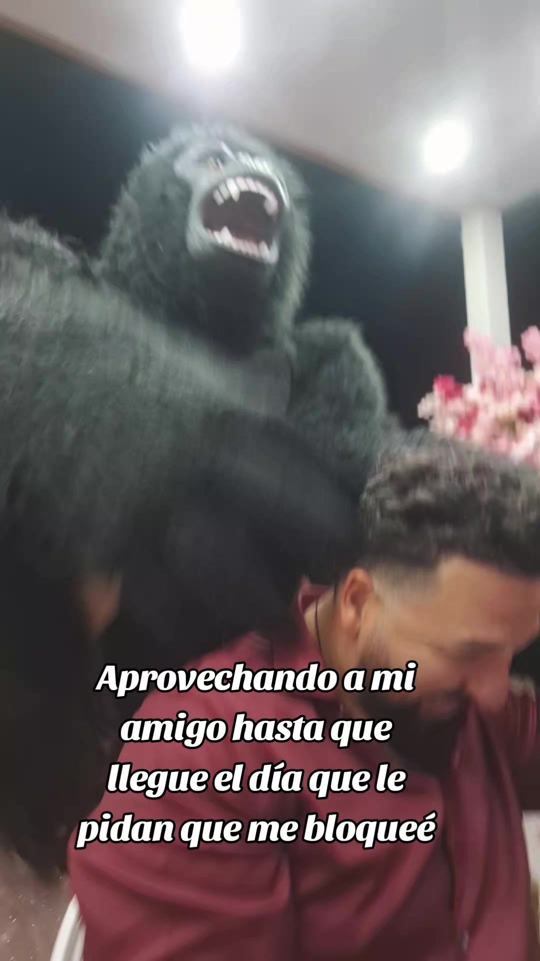 @Denis Lopez