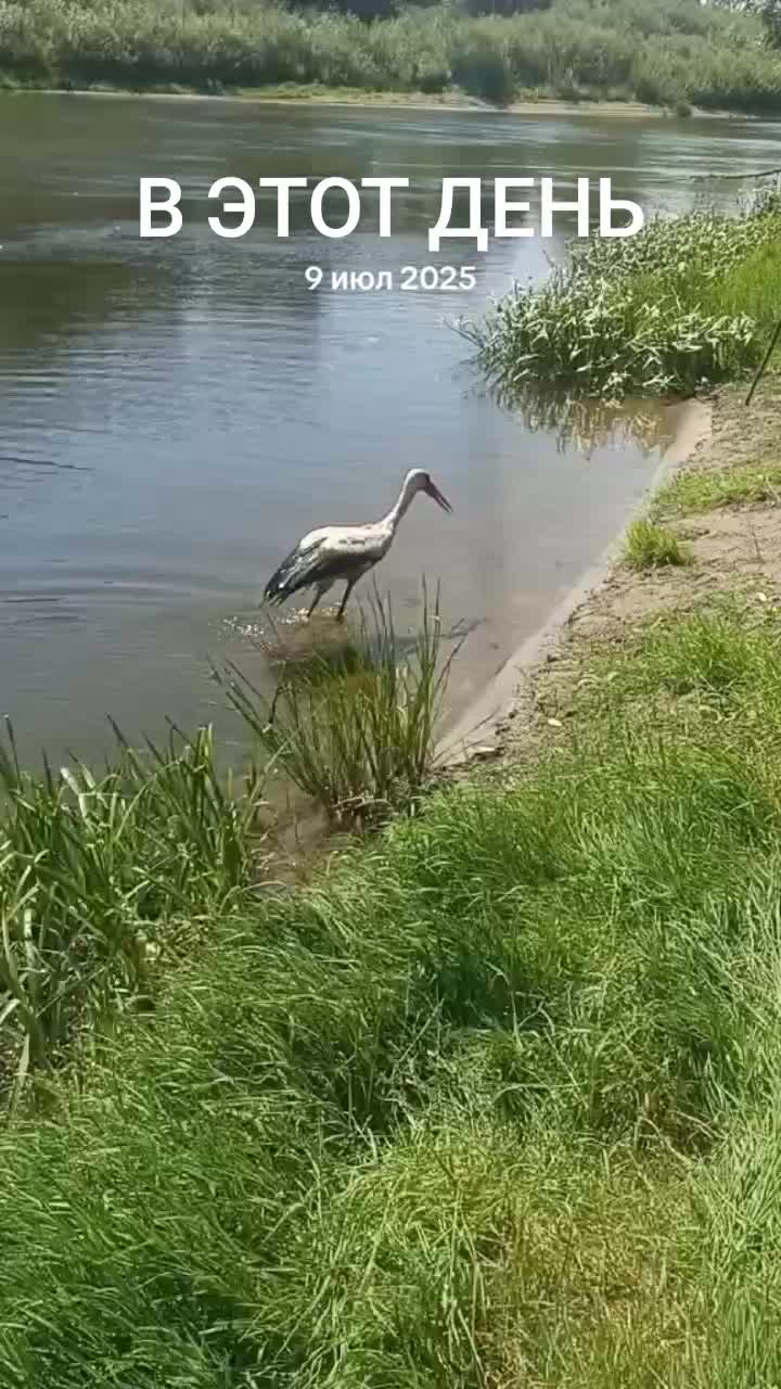 @Роман