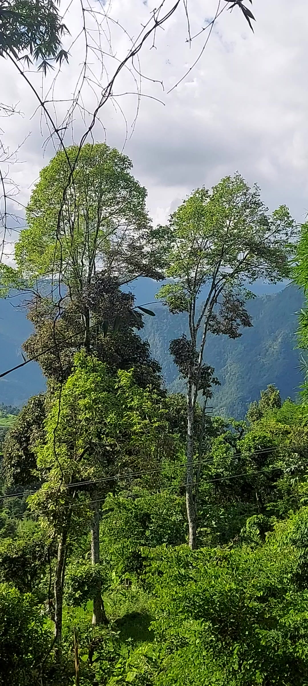 @प्रकृति