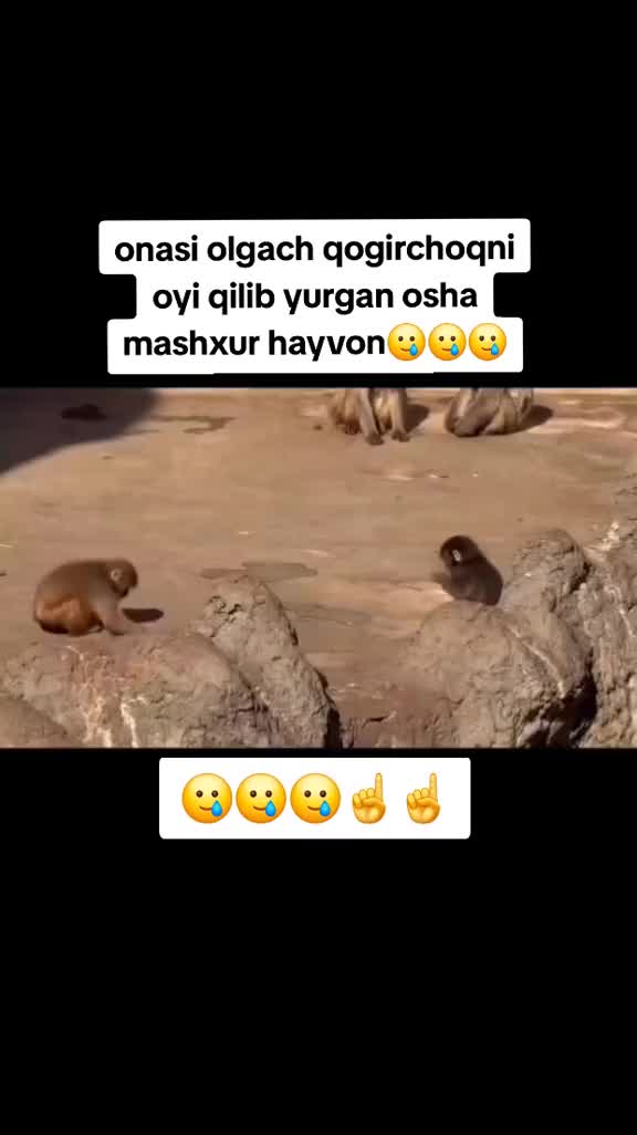 @ASADBEK🏴&zwj;☠️🏴&zwj;☠️
