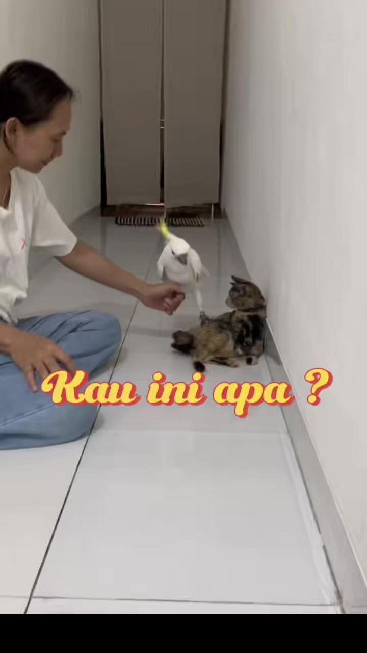 @bio_bege