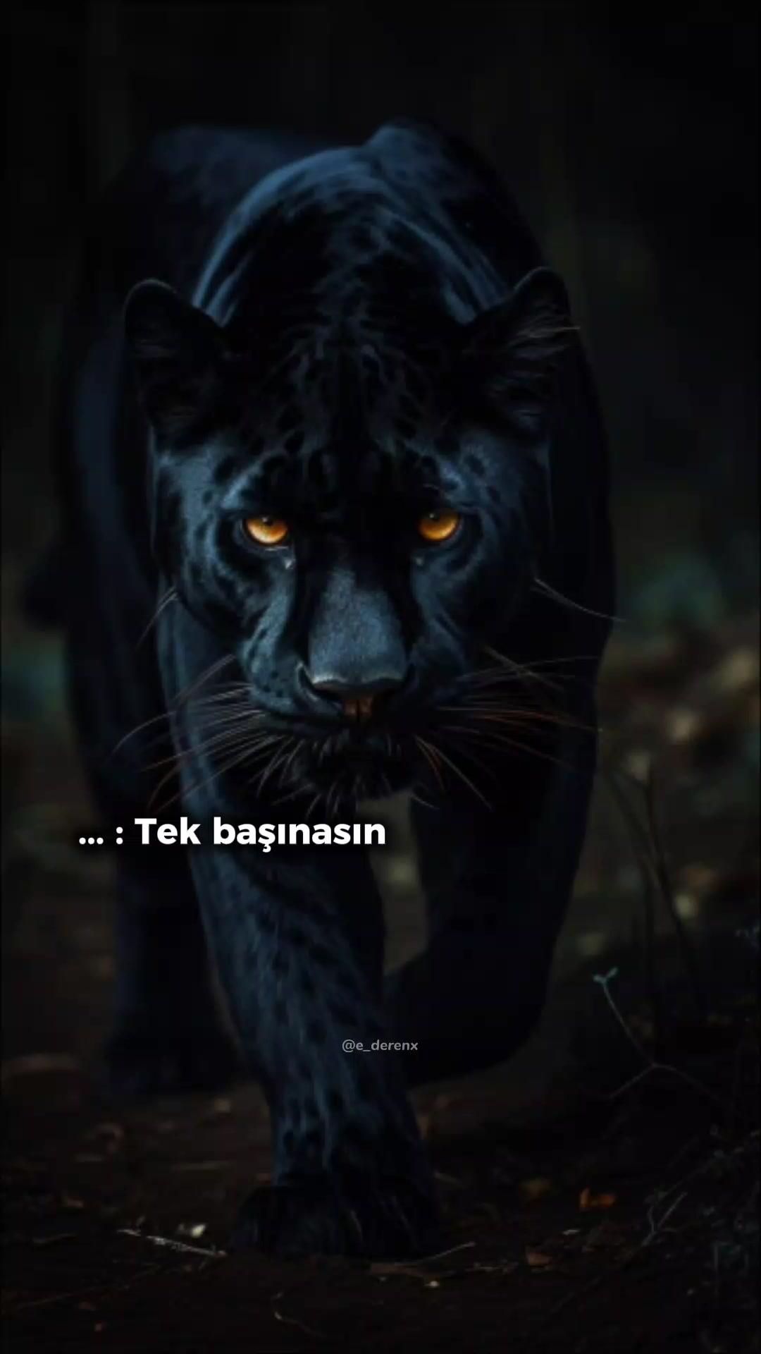 @kadir ardahanlı