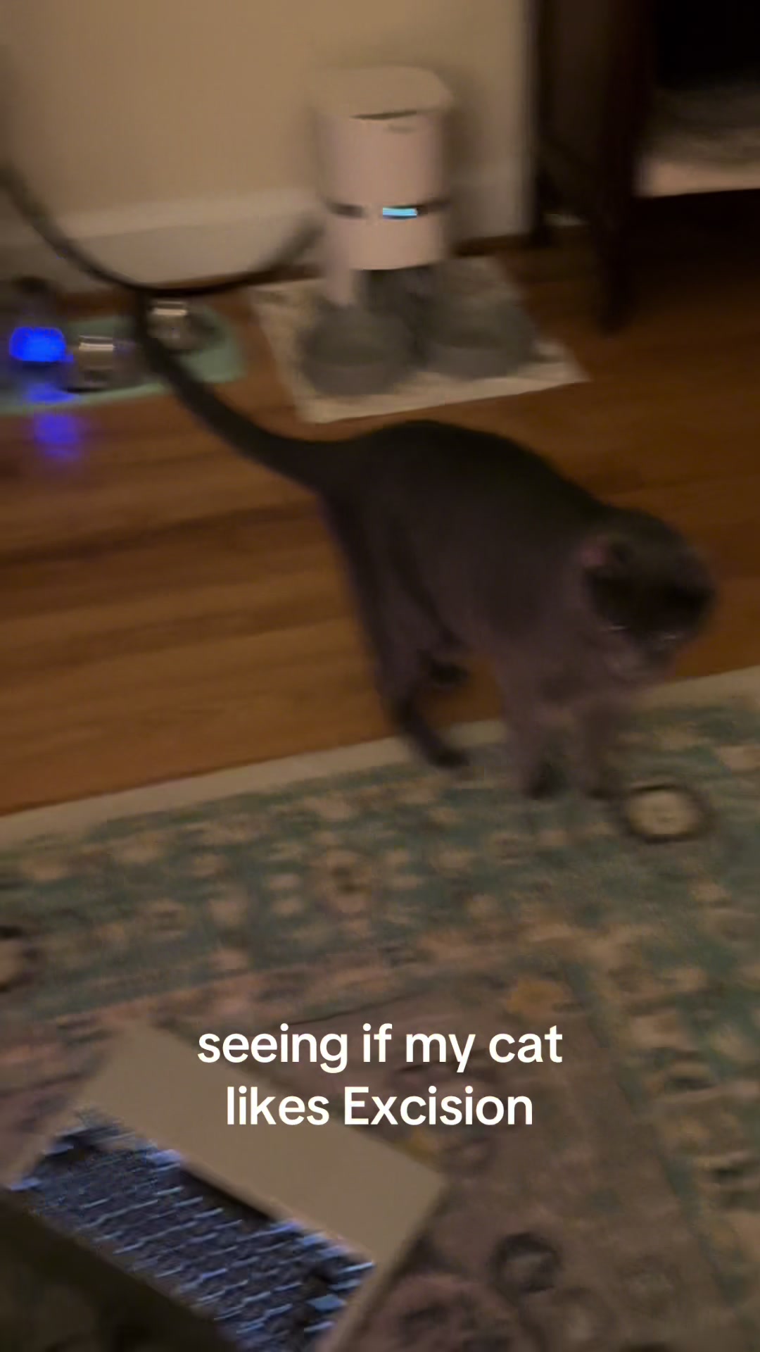 @nic🕳️