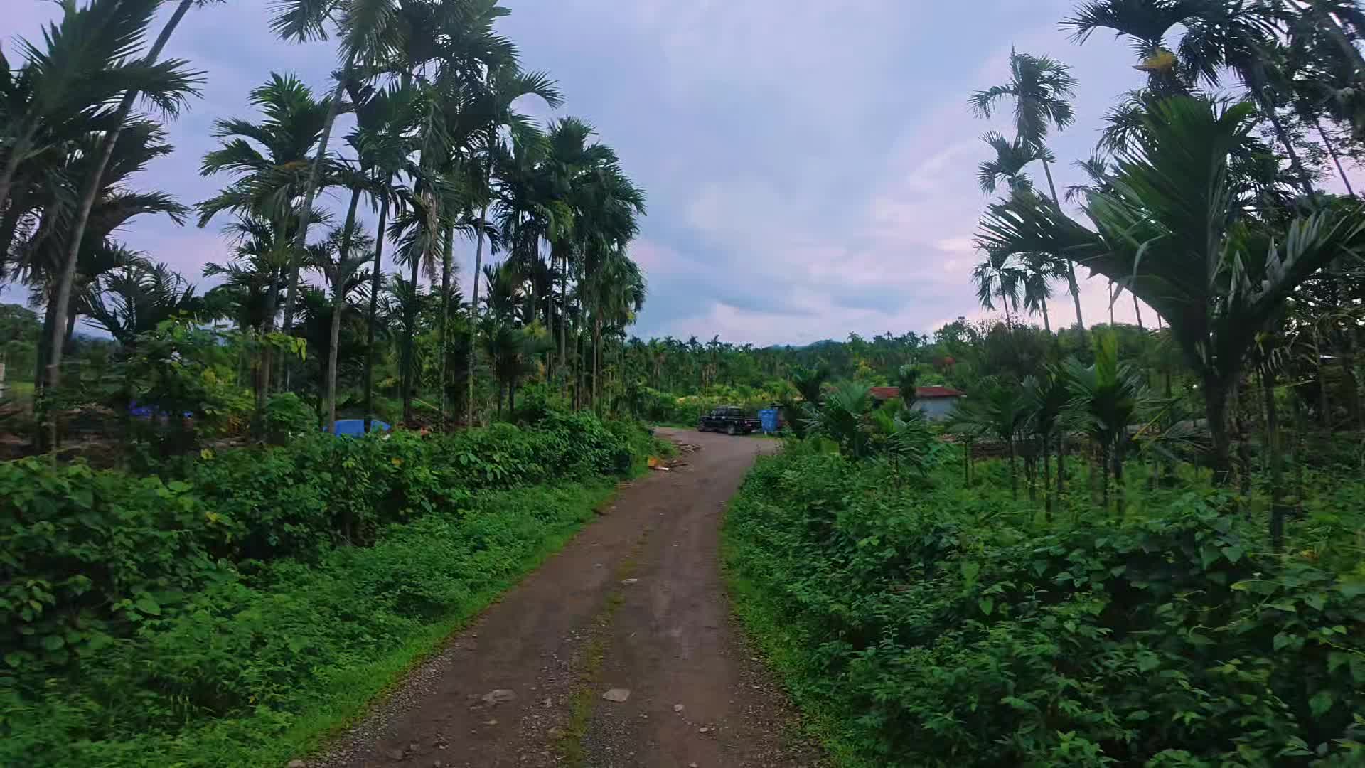 @Fast_Furious__@🇧🇹