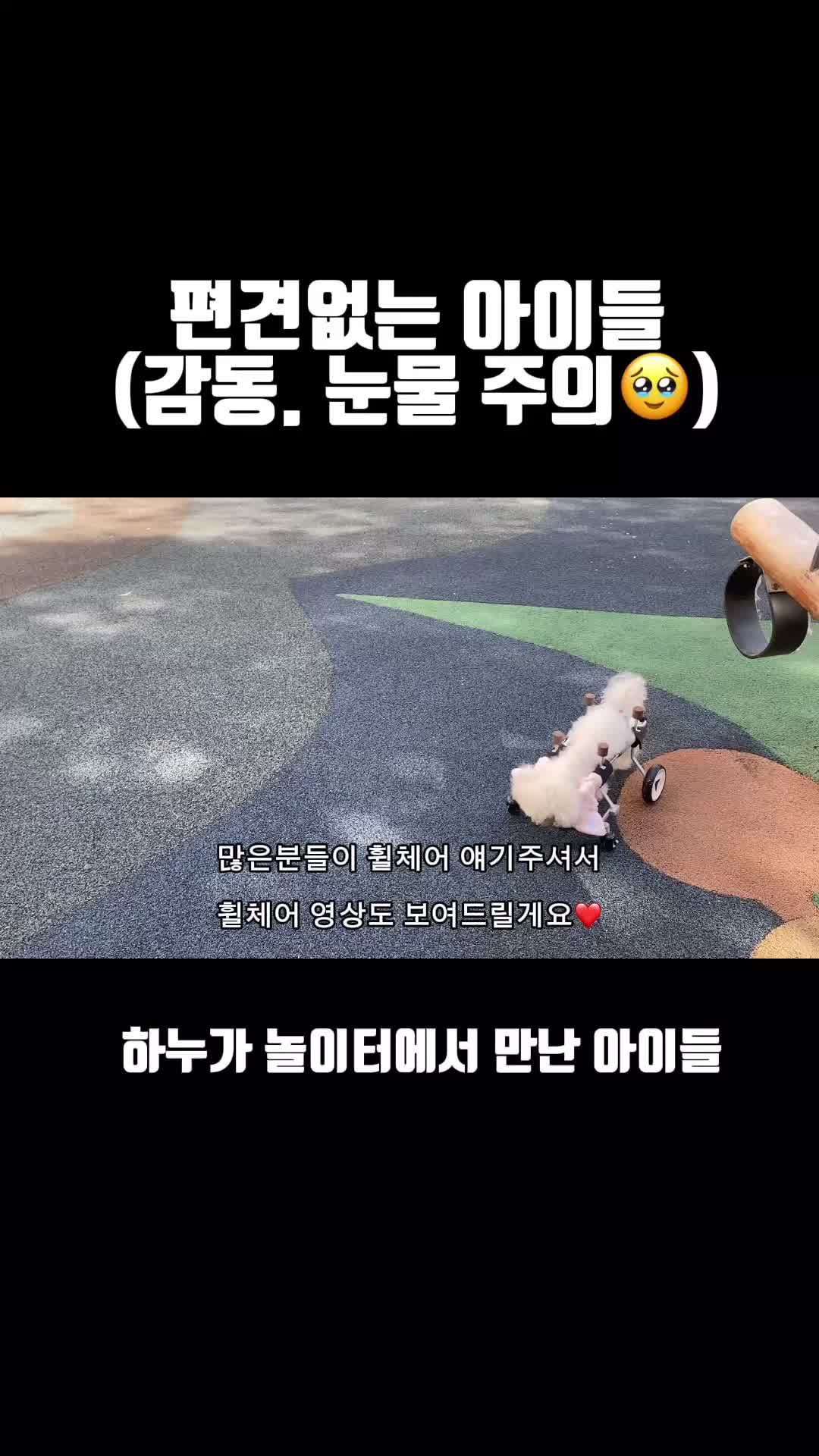 @한조니 Shelly