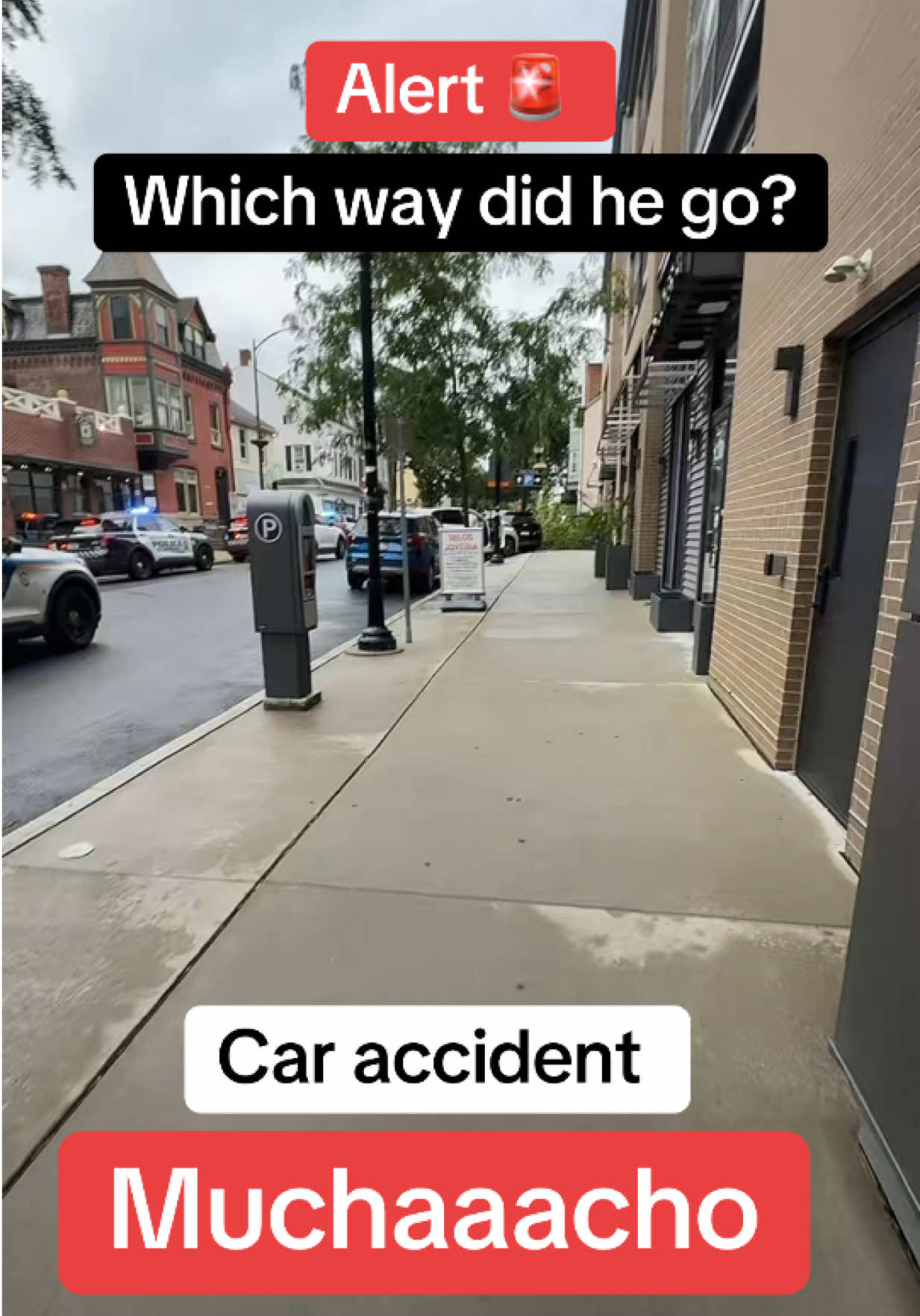 @Amauri
