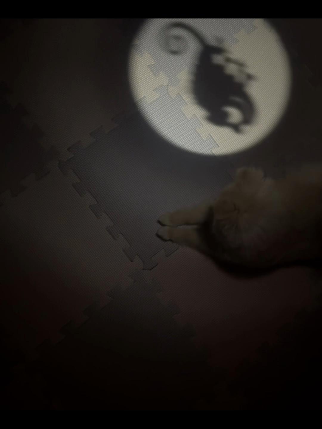 @꒰ঌ세링໒꒱