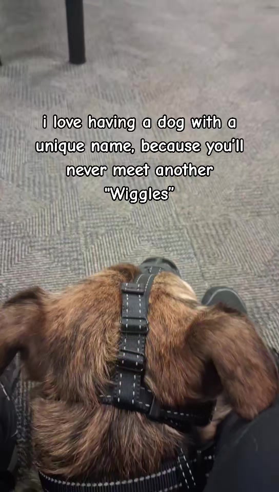 @Wigz