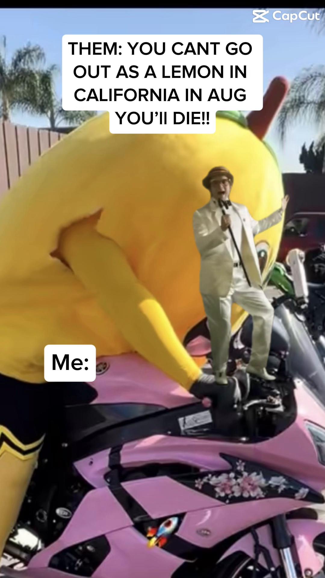 @Sour-Puss