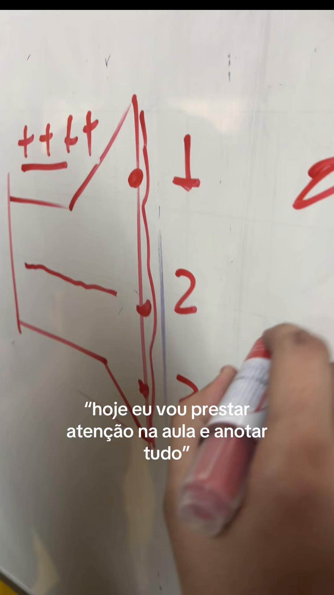 @luísa bara