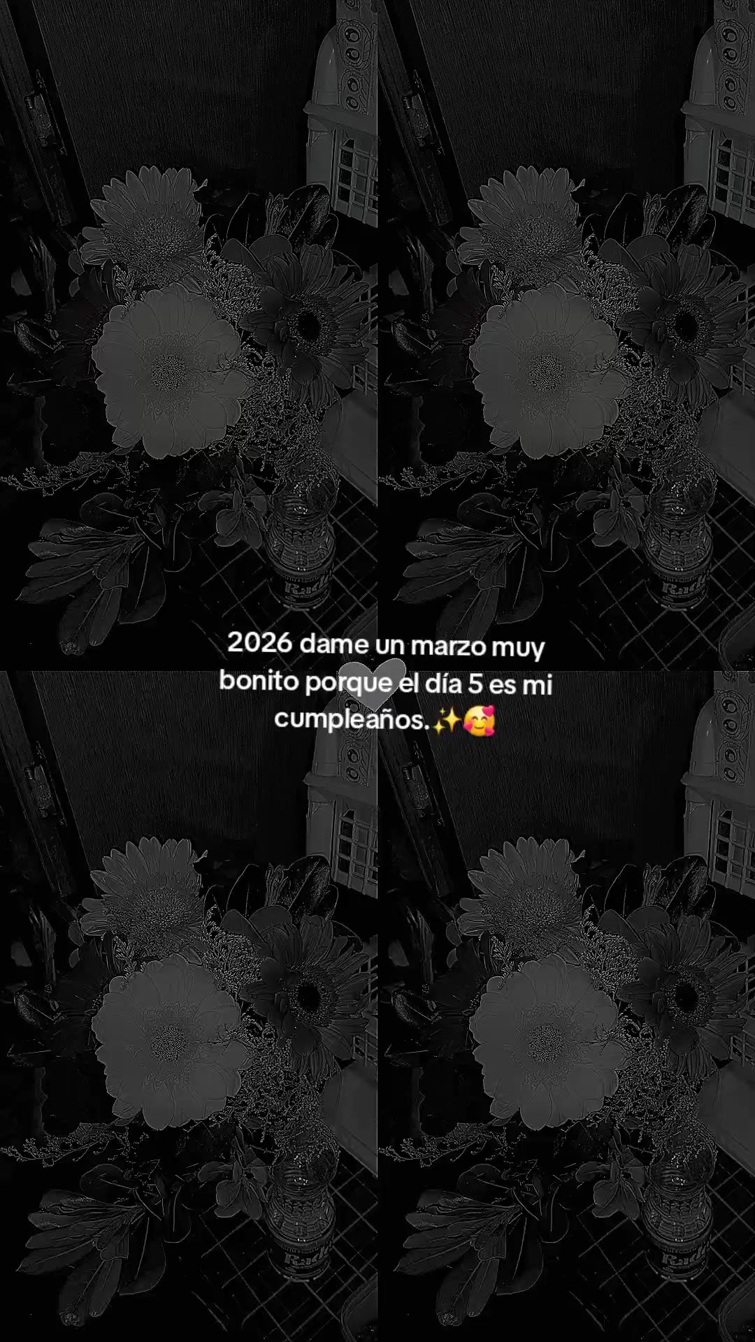 @Issa Orea