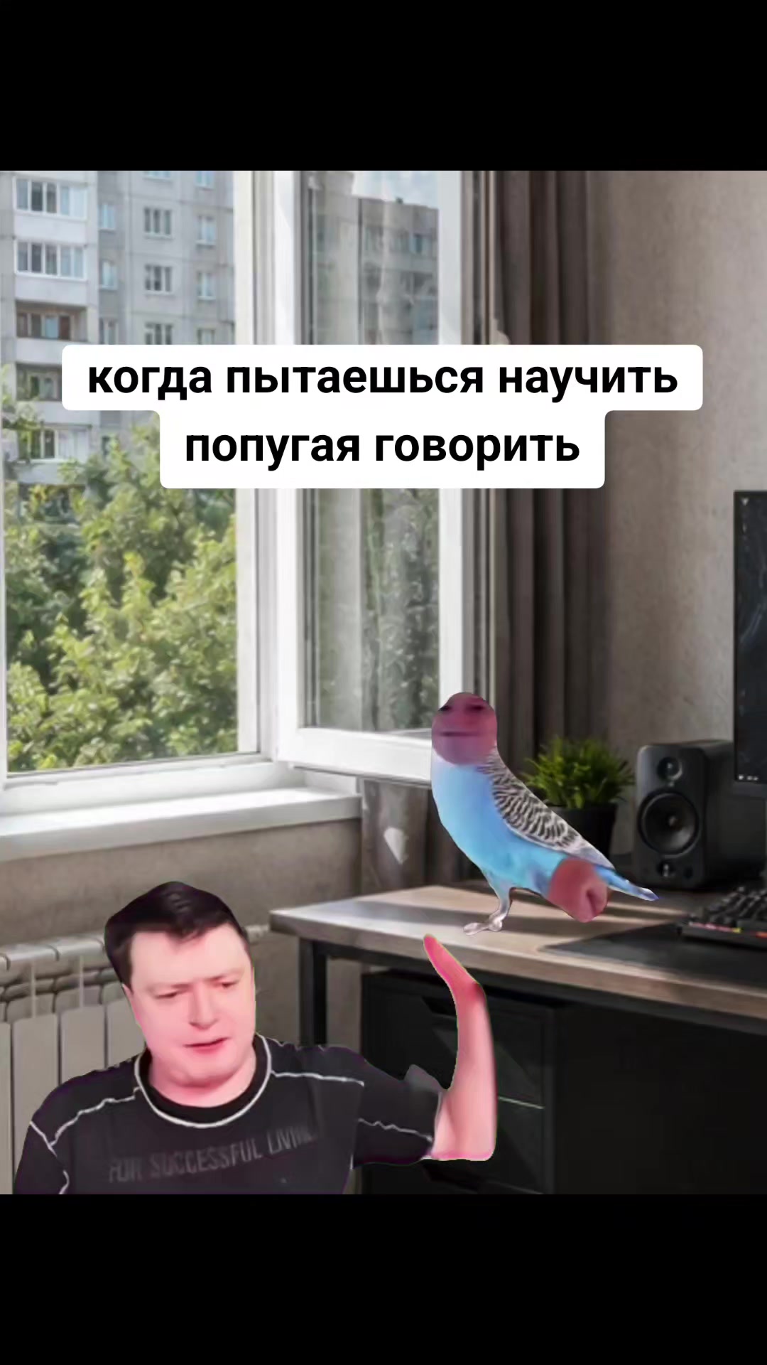 @Cardrs