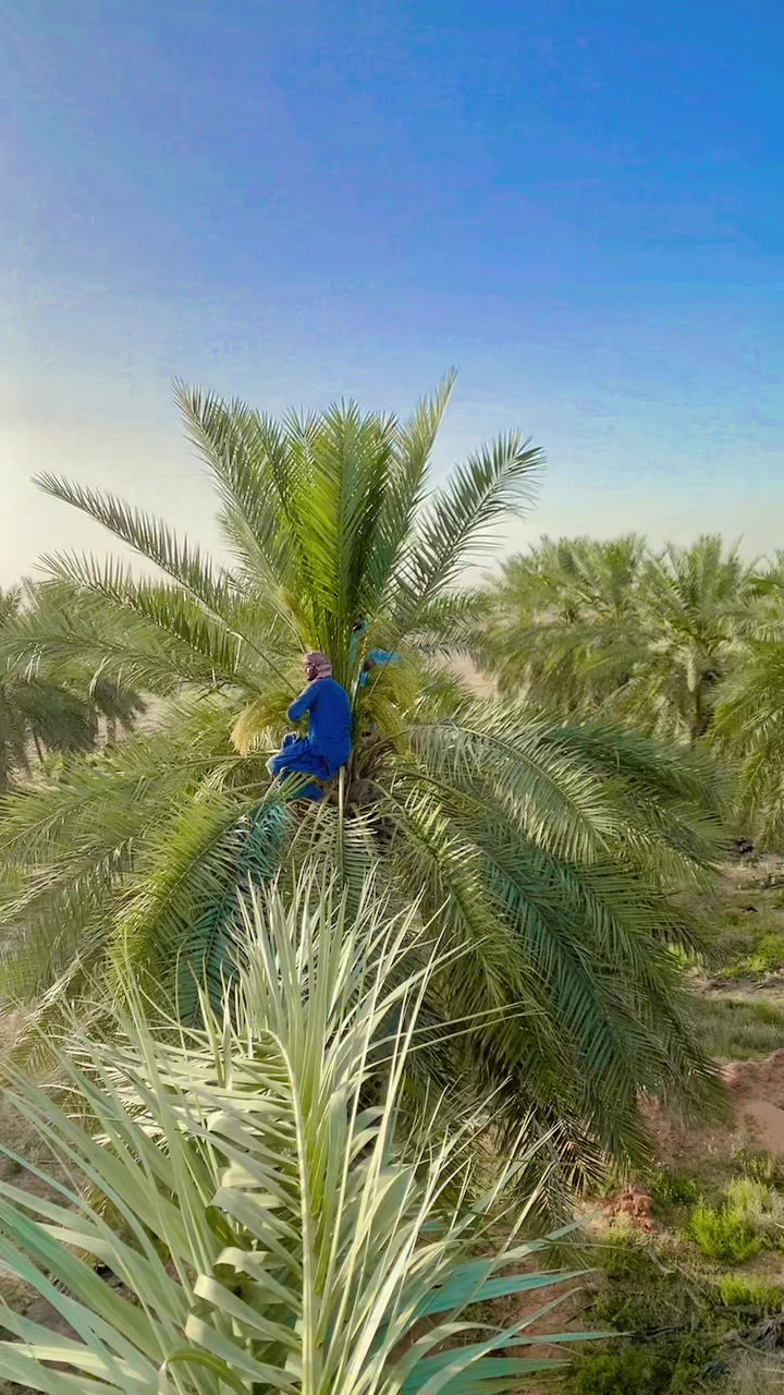 @Malik nadir7756