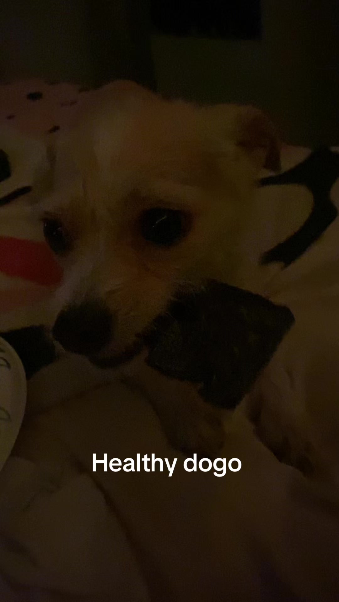 @Sauskehardcore
