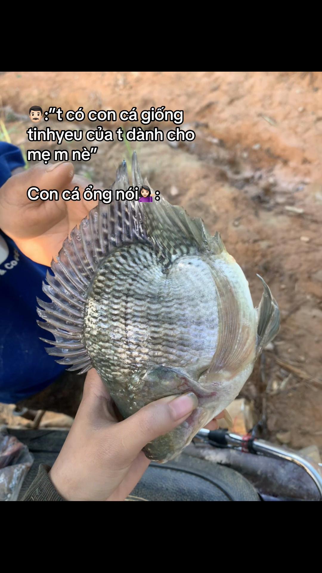 @Măm Tẻnn ᴥ