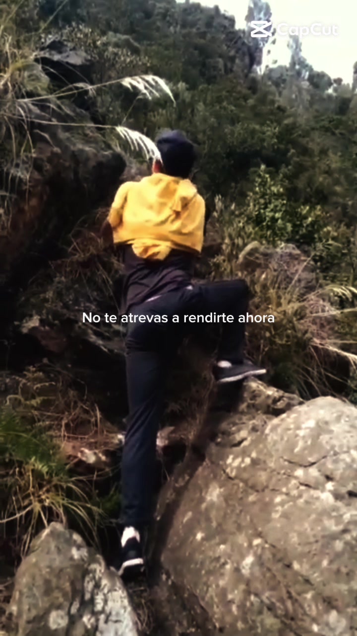 @Daniel Guzmán