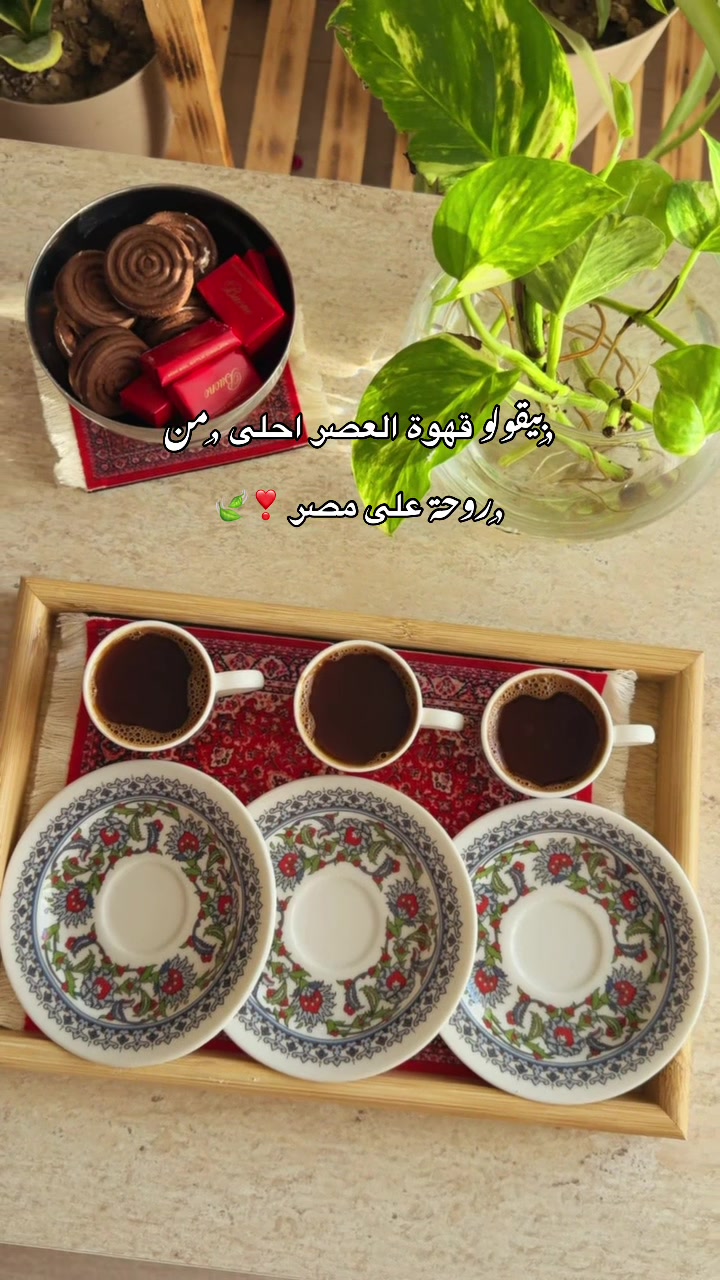 @🌱📸 𝐒𝐀𝐋𝐌𝐀_سلمى