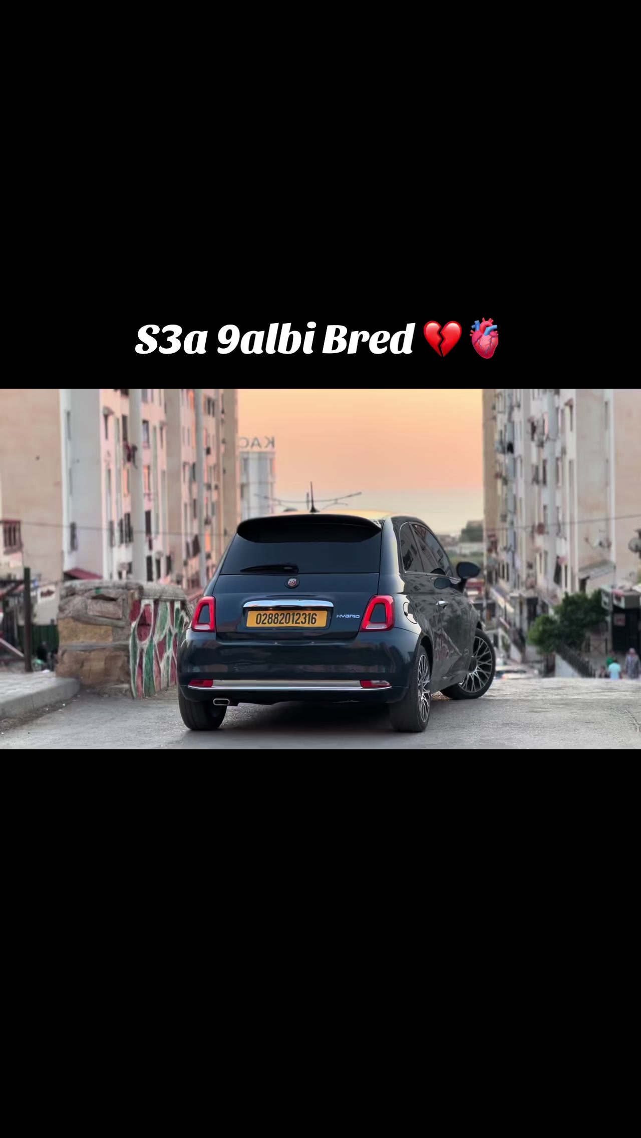 @nabil.diamond 16