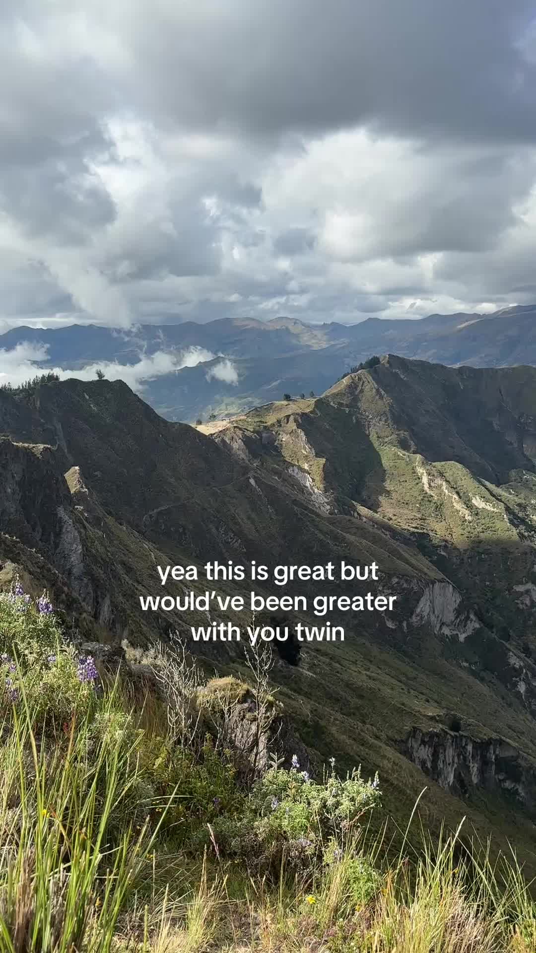@noahweenie