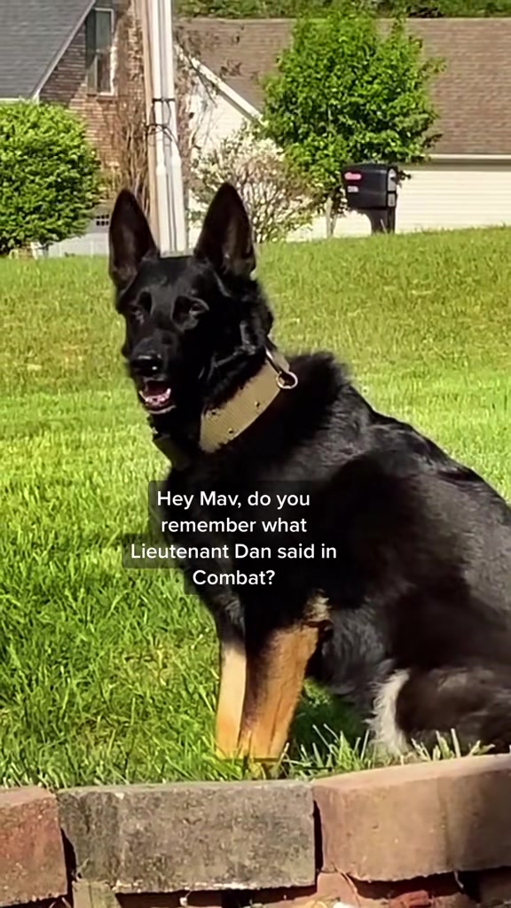 @🪶TheN8tiveDogfather🐾
