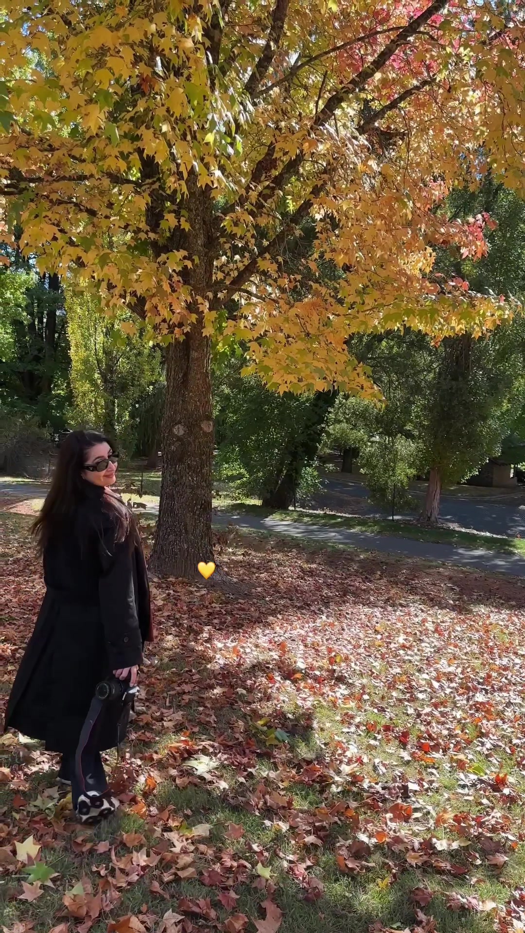 @Indrita