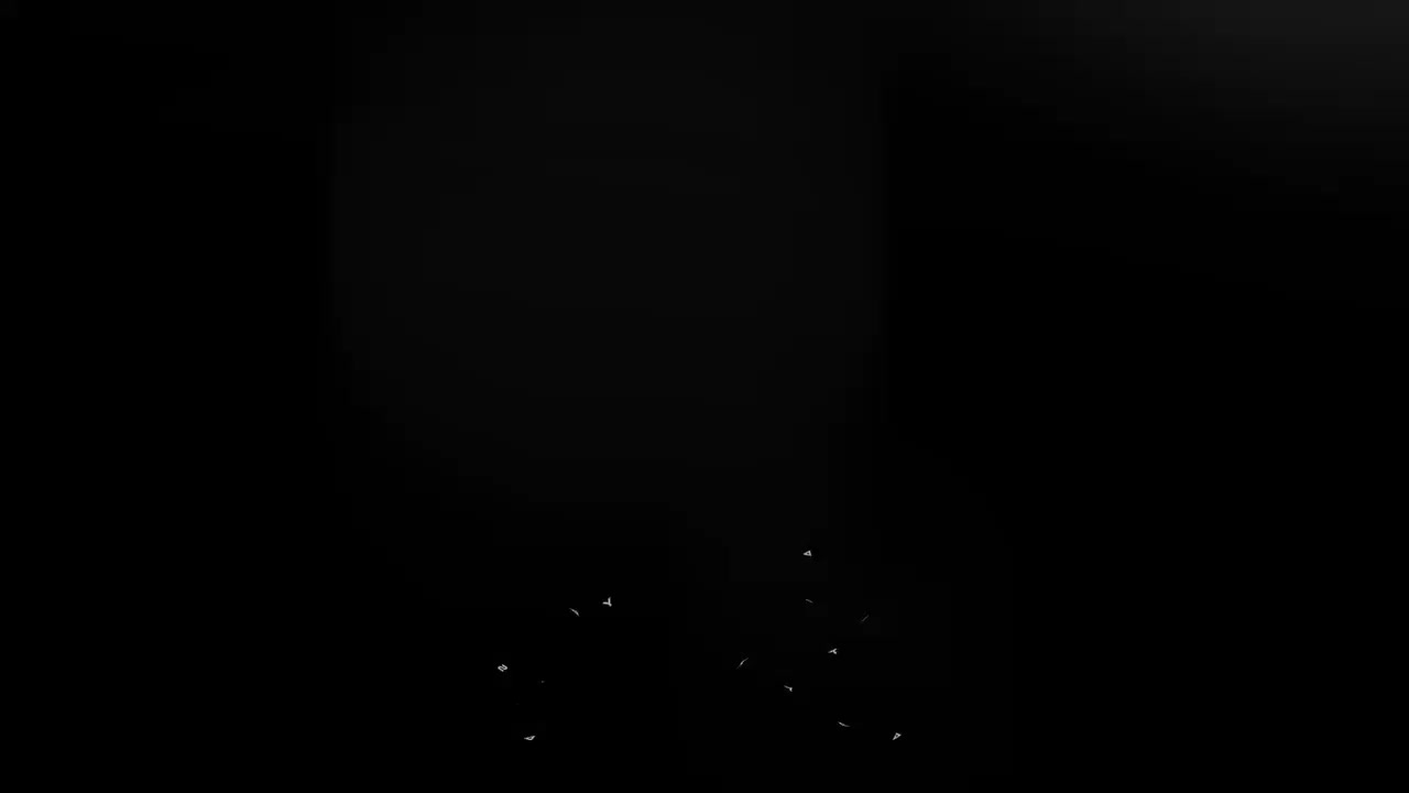 @𝐀𝐧𝐣𝐮𝐮 🪼