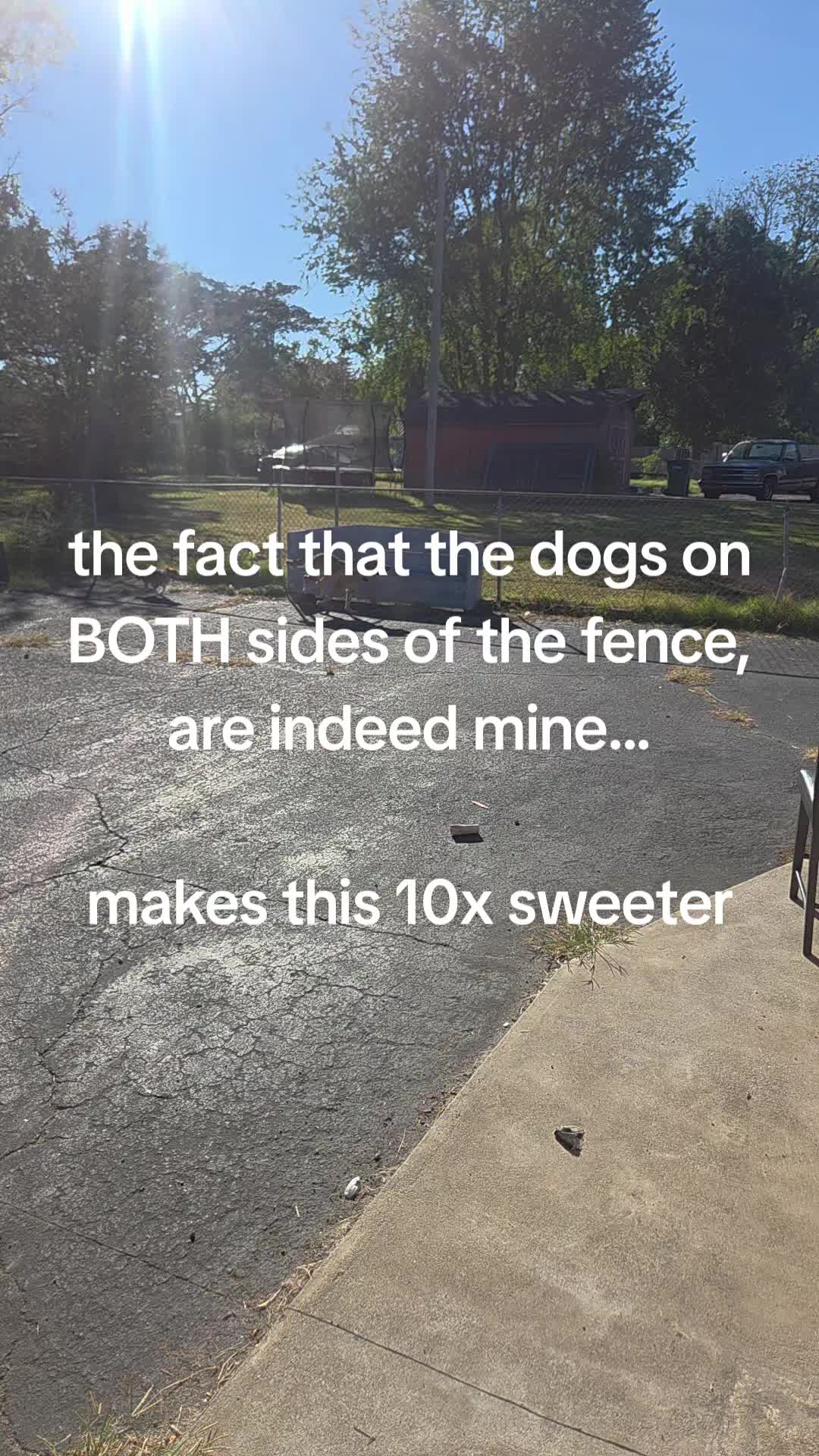 @LEX